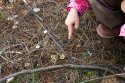 IMG_9715_.jpg